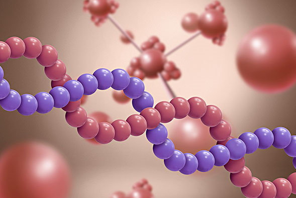 節能型膠粘劑 KMS-1770